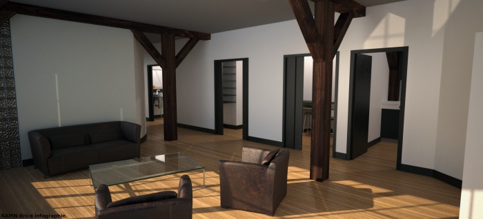 Aménagement d'un appartement parisien