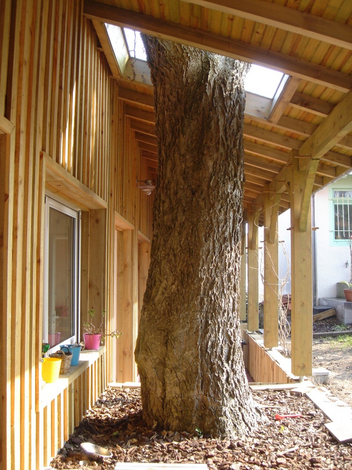 Cabanons en bois : l'arbre conserv