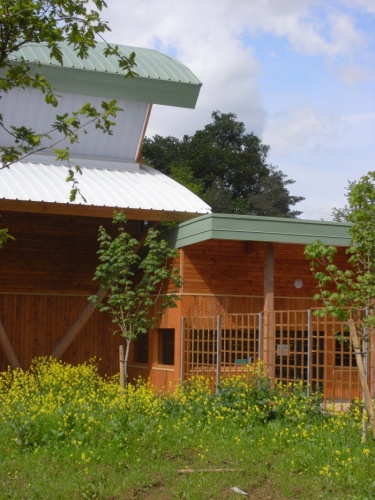 Construction d'une salle de gymnase au lyce en fort  Montargis (45) : image_projet_30646