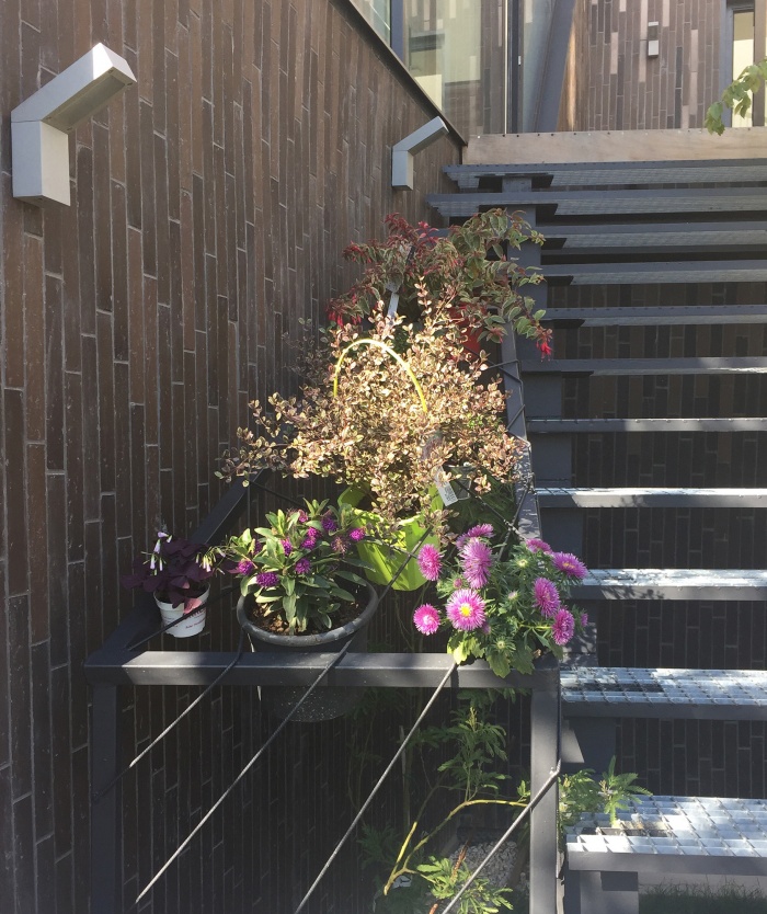 Maison U : Escalier central 1