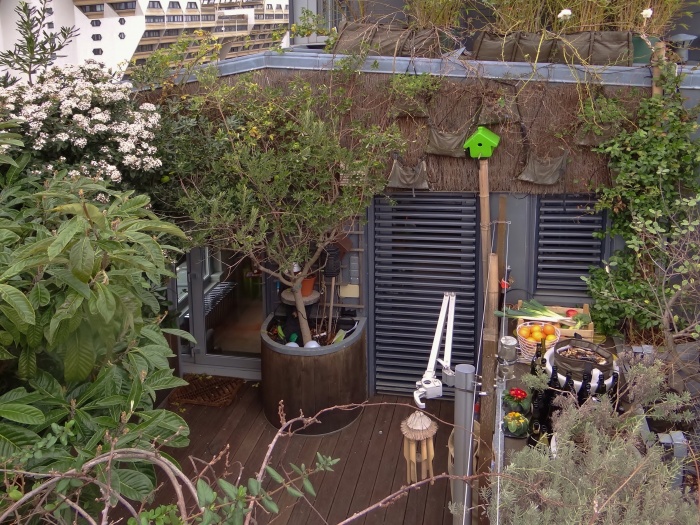 Surlevation d'un duplex et cration d'une terrasse : terrasse 2